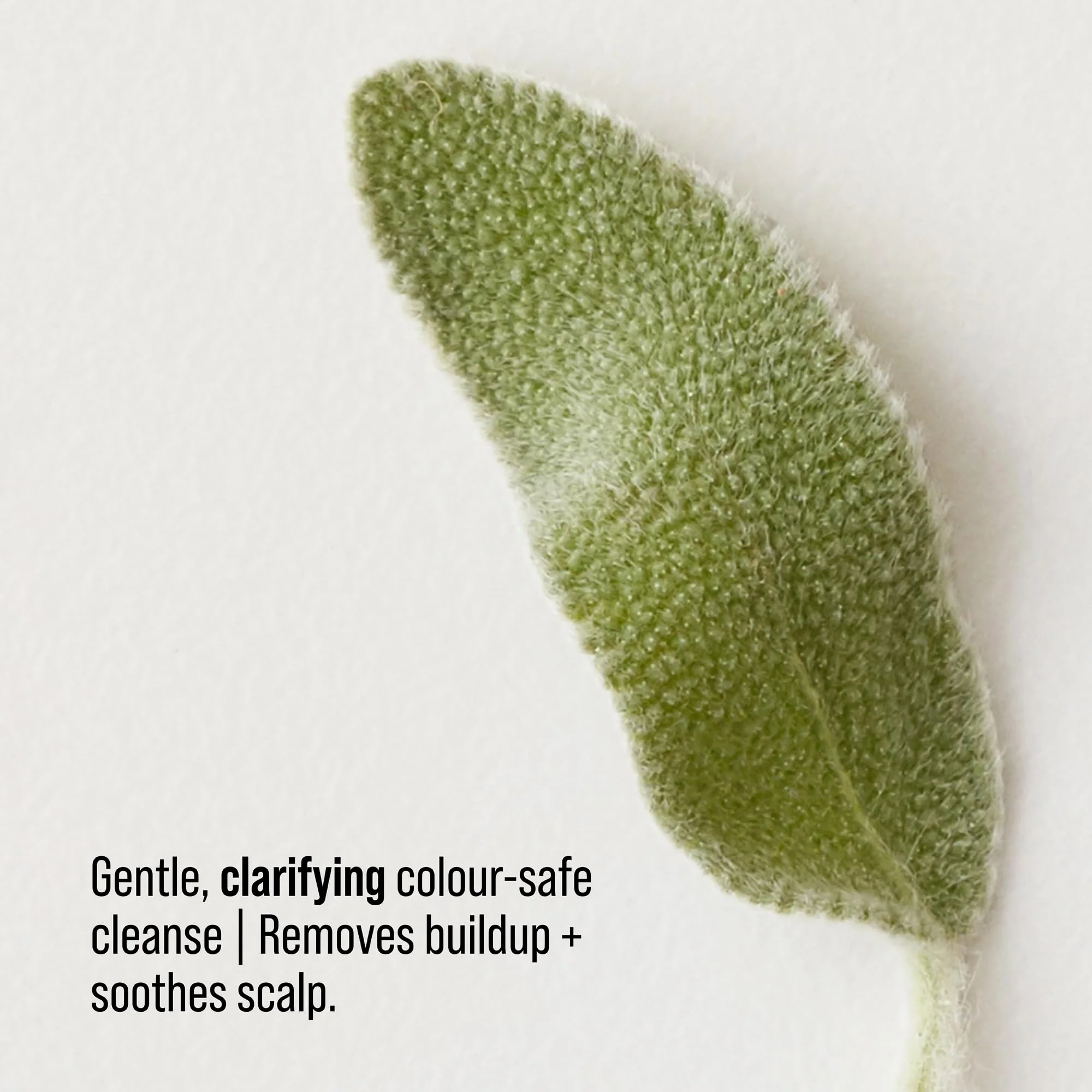 AG Care Renew Clarifying Shampoo, Remove Build Up, Colour Safe Sulfate-Free Shampoo 33.8 Fl Oz - Image 4