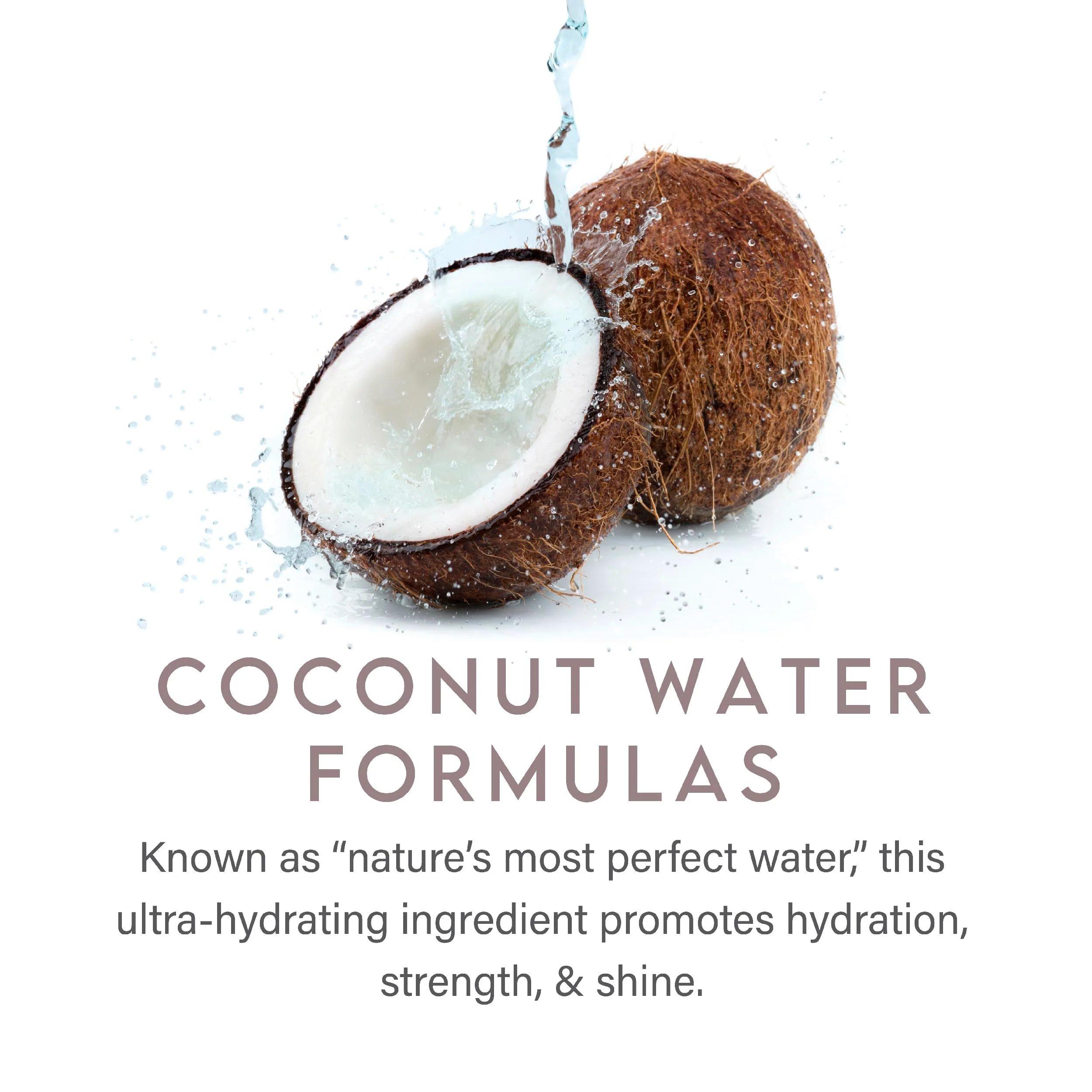 ALURAM Coconut Water Moisturizing Shampoo for Men and Women, Clean Hydration and Shine for Medium to Coarse Textured Hair, 33.8 Fl Oz - Image 6