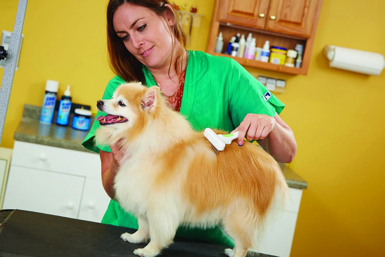 Andis 65735 Flexible Single Row Dog Brush - Removes Unwanted Shedding Hair with 360 Rotating or 13 Long Teeth - Promotes Healthy Skin & Glowing Coat - Ideal for Small to Medium Dogs - White - Image 3