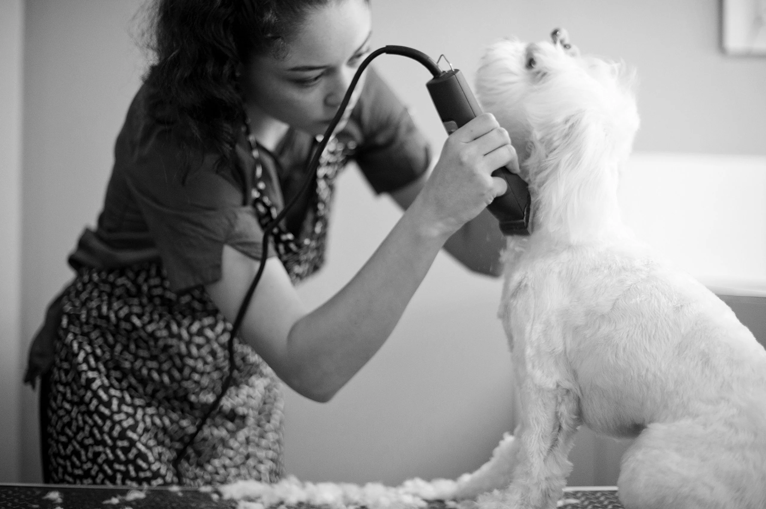 Andis UltraEdge Super 2-Speed Detachable Blade Clipper, Professional Animal/Dog Grooming, AGC2 (23280) - Image 3