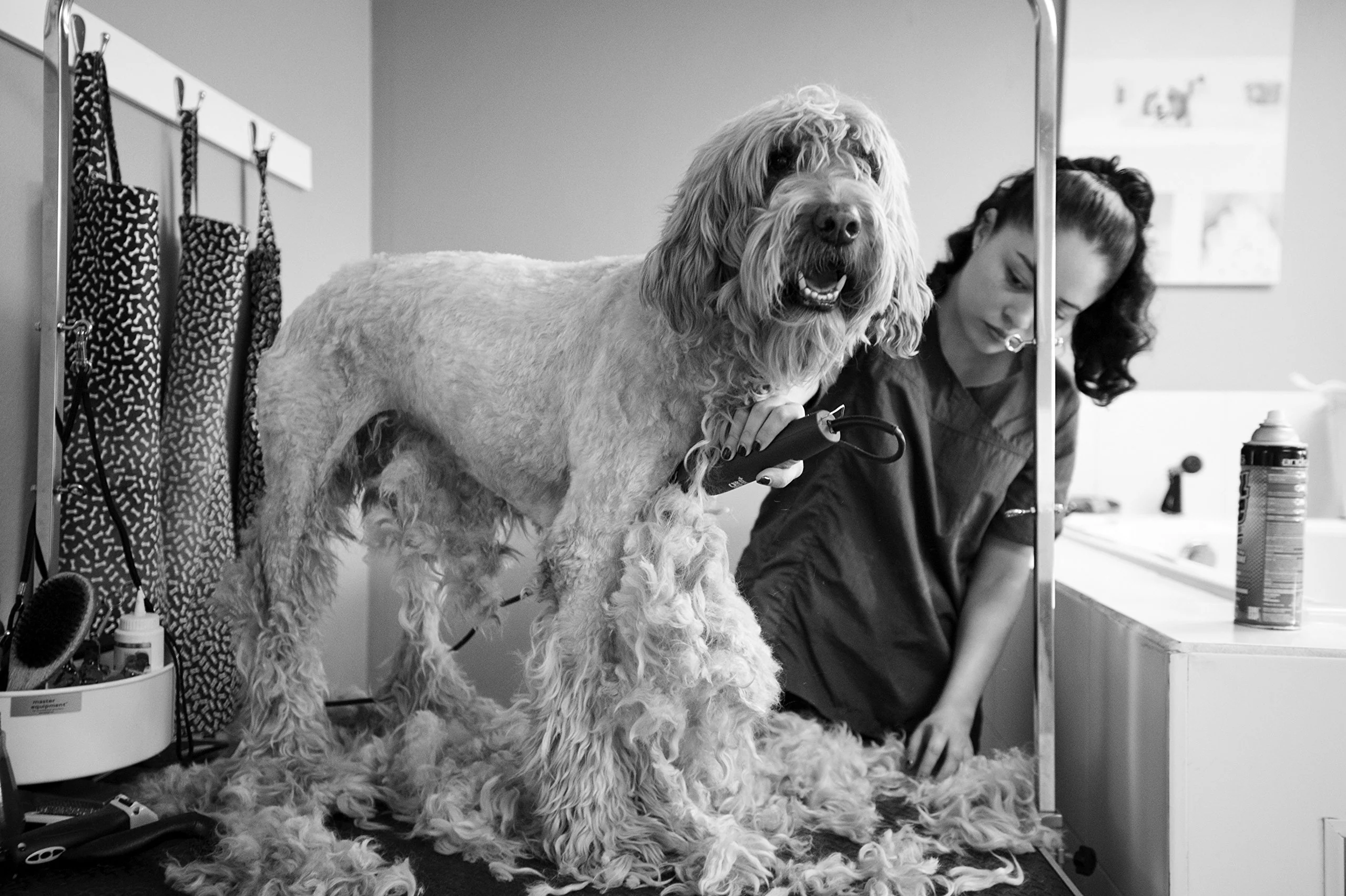Andis UltraEdge Super 2-Speed Detachable Blade Clipper, Professional Animal/Dog Grooming, AGC2 (23280) - Image 6