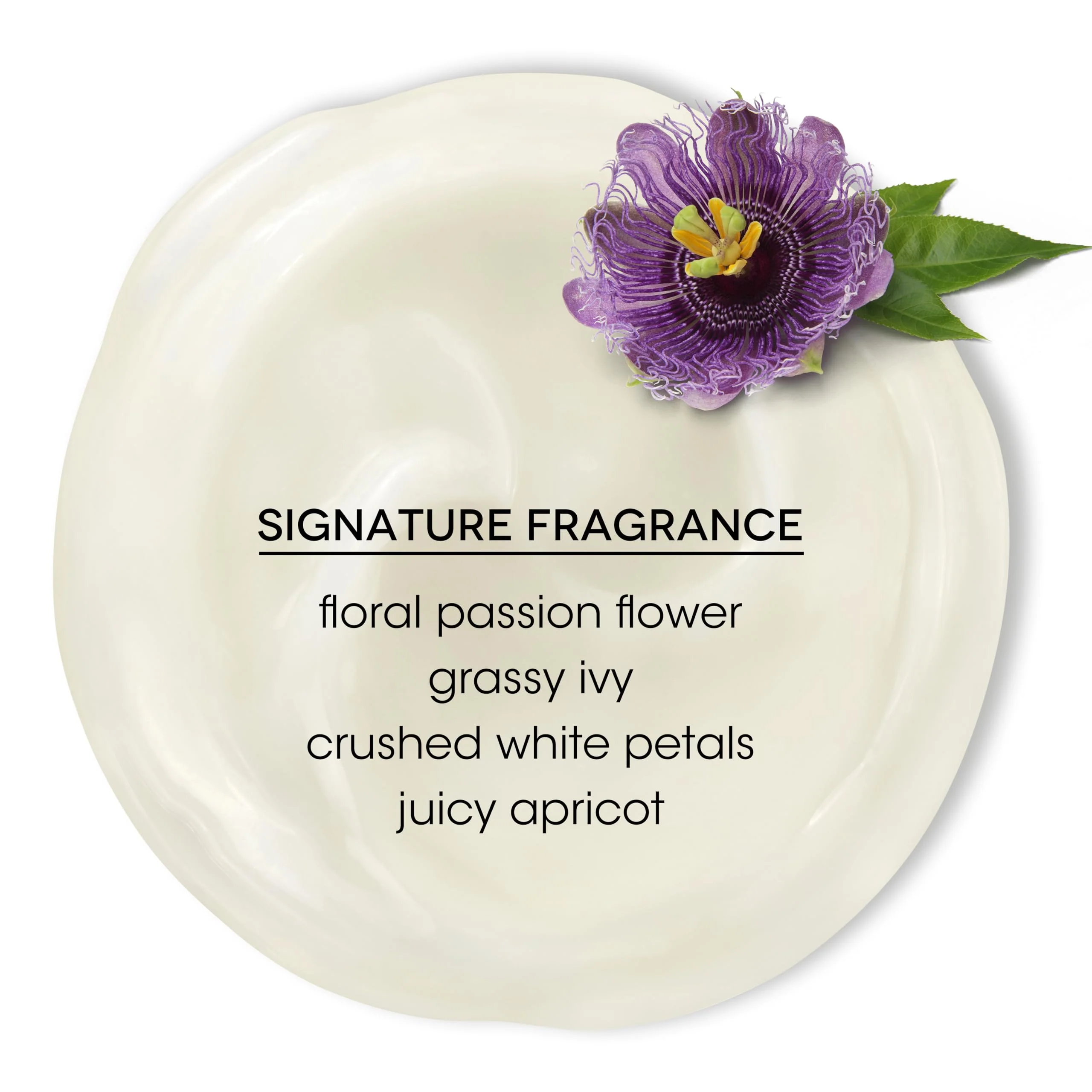 Bain de Terre Passion Flower Color Preserving Conditioner, Luxurious Hydration for Vibrant Color & Protection from Fading, with Argan & Monoi Oils, Paraben-free, Vegan, 13.5 Fl Oz - Image 6