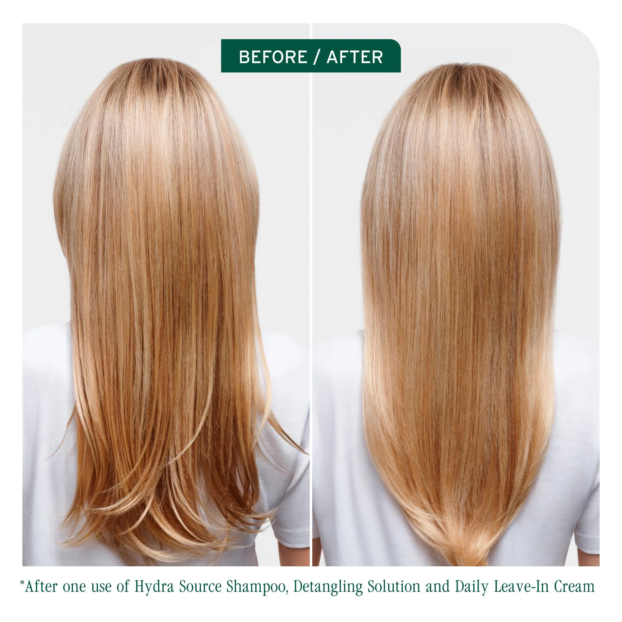 Biolage Hydra Source Detangling Solution - Conditions, Instantly Detangles & Controls Static, For Dry Hair, With Micro-Filtered Aloe Vera & Fermented Hyaluronic Acid, 13.5 Fl Oz, Packaging may vary - Image 2