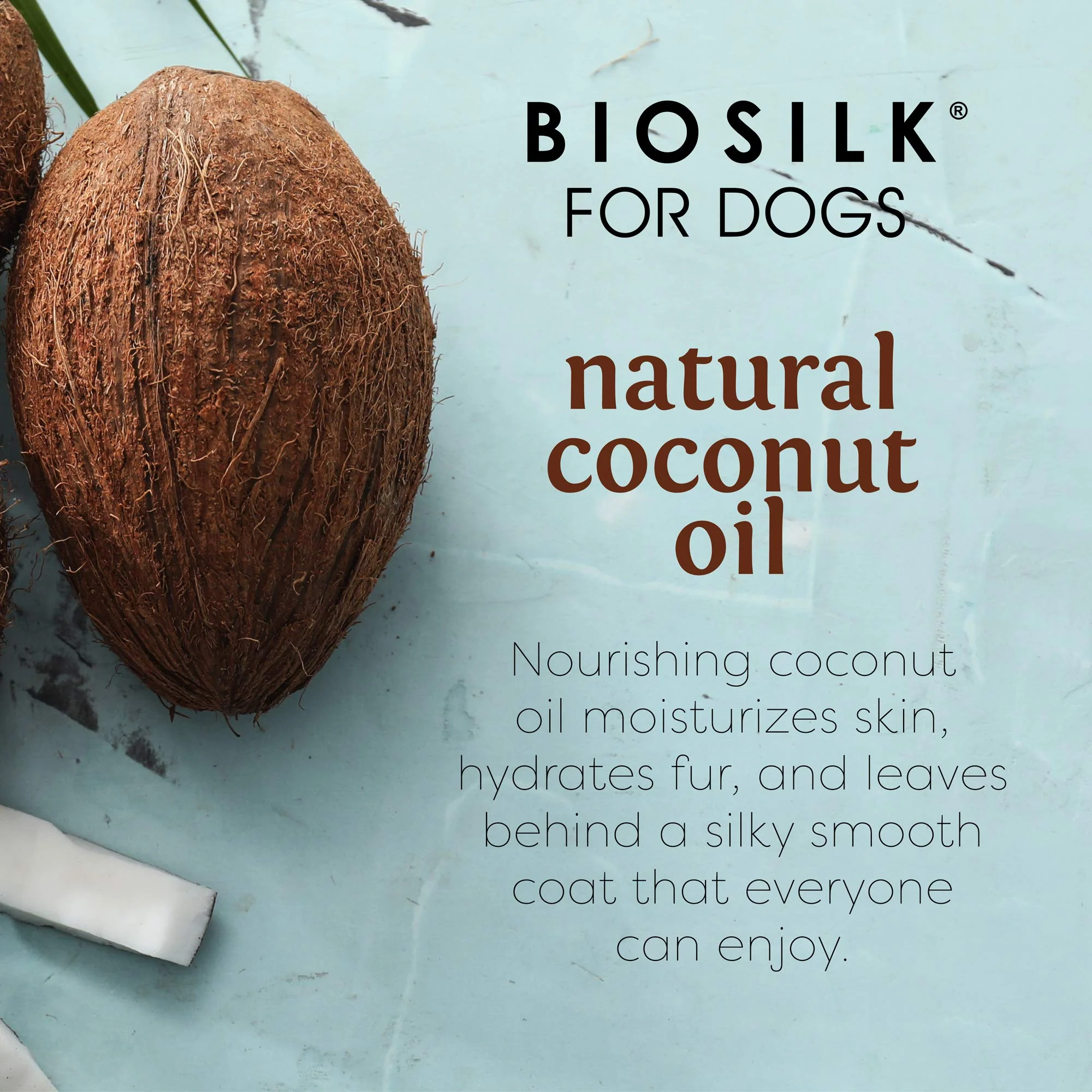 BioSilk for Dogs Silk Therapy Shampoo with Organic Coconut Oil | Coconut Dog Shampoo Waterless Shampoo | Dry Dog Shampoo from Silk Therapy for Fresh Dog Coats,Beige - Image 3