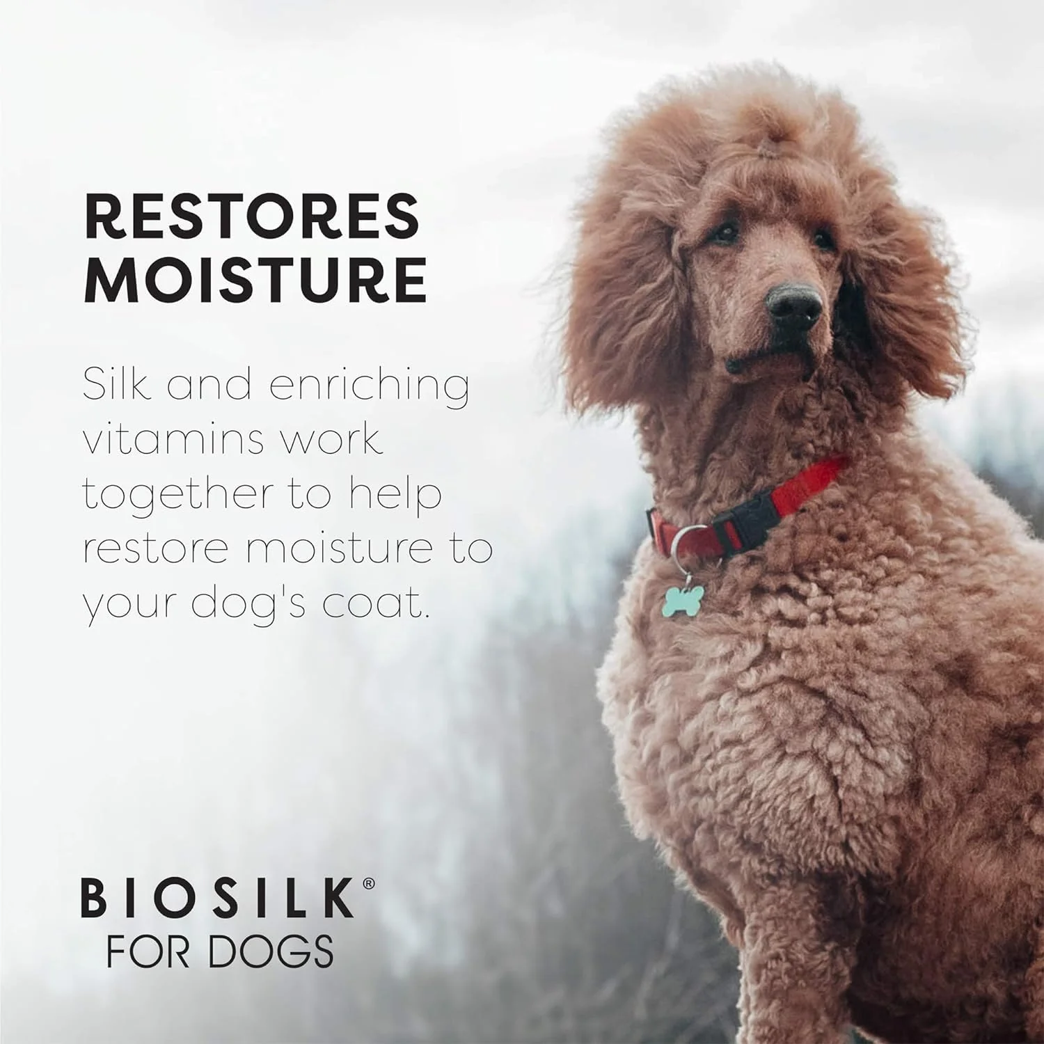 BioSilk Silk Therapy Conditioning Detangling Spray for Dogs with Natural Coconut Oil - Dog Matted Hair Detangler Conditioner for Dogs, Dematting Grooming Supplies, 7 Fl Oz - 2 Pack - Image 5