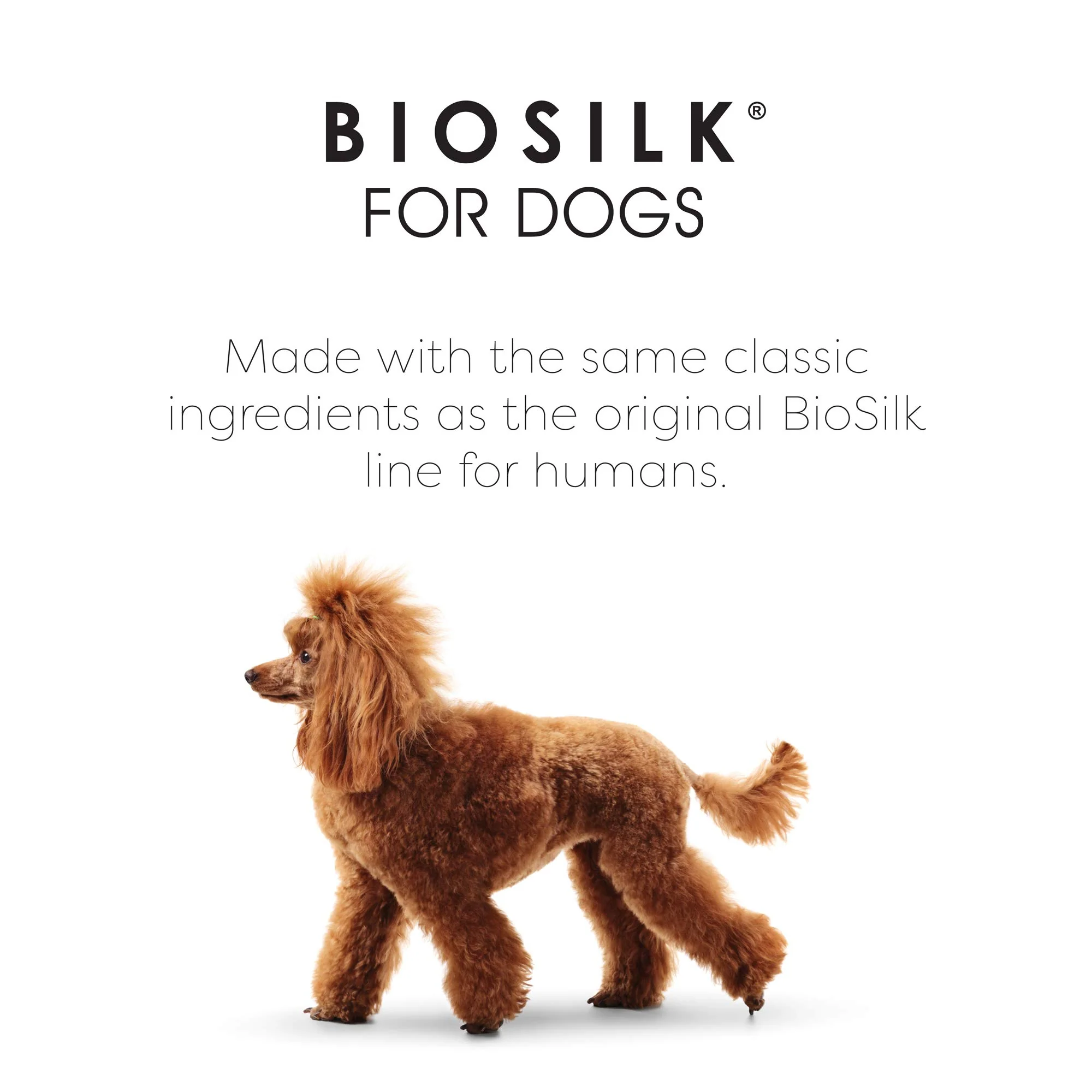 BioSilk Silk Therapy Conditioning Detangling Spray for Dogs with Natural Coconut Oil, Leave-In Detangler and Conditioner, Dematting Grooming Spray, Sulfate Free, 7 Fl Oz - Image 5