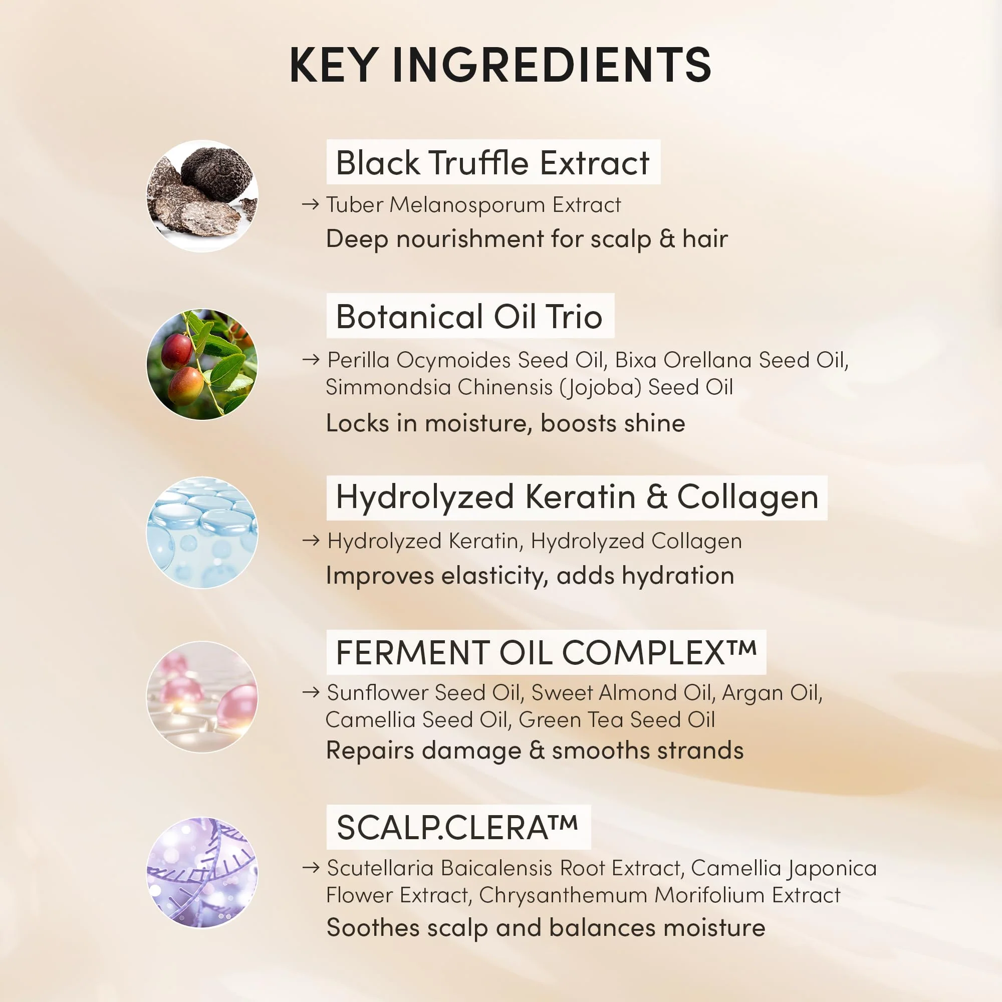 HAARAZ Instant Hair Dye Shampoo Ampoule, Permanent Hair Color Dye - Paraben-Free, 5-Minute Easy and Fast Coloring, Keratin & Collagen, Made in Korea (Dark Brown) - Image 4