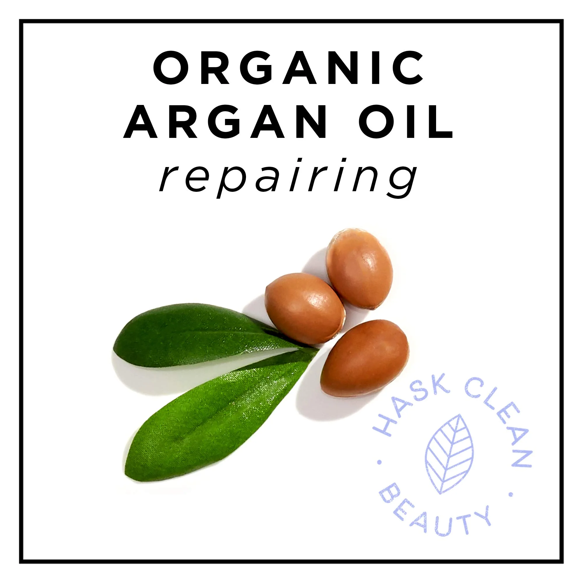 Hask Argan Oil From Morocco Repairing Deep Conditioner, Hair Treatment 1.75 oz (Pack of 10) - Image 4