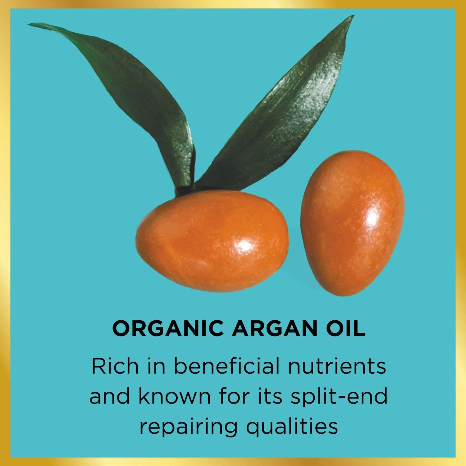 Hask Argan Oil From Morocco Repairing Deep Conditioner, Hair Treatment 1.75 oz (Pack of 3) - Image 8