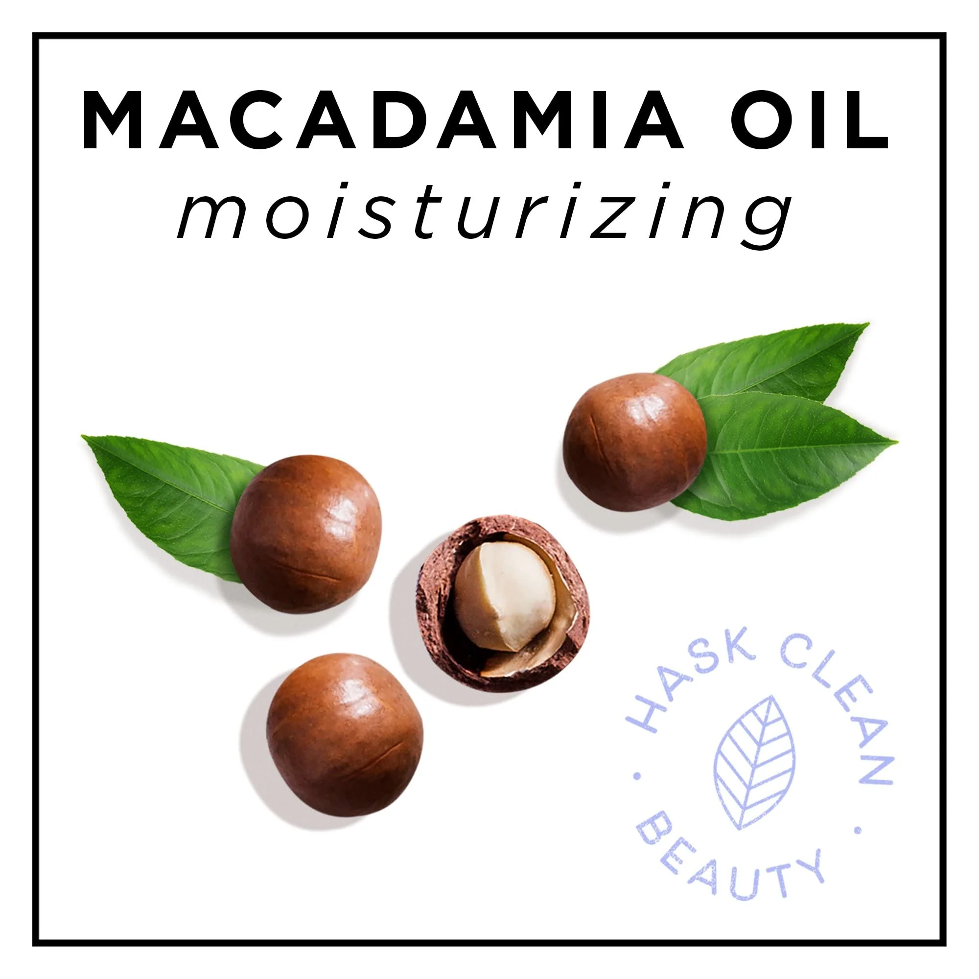 Hask Conditioner Macadamia Oil Moisturizing 12 Ounce (354ml) (3 Pack) - Image 4
