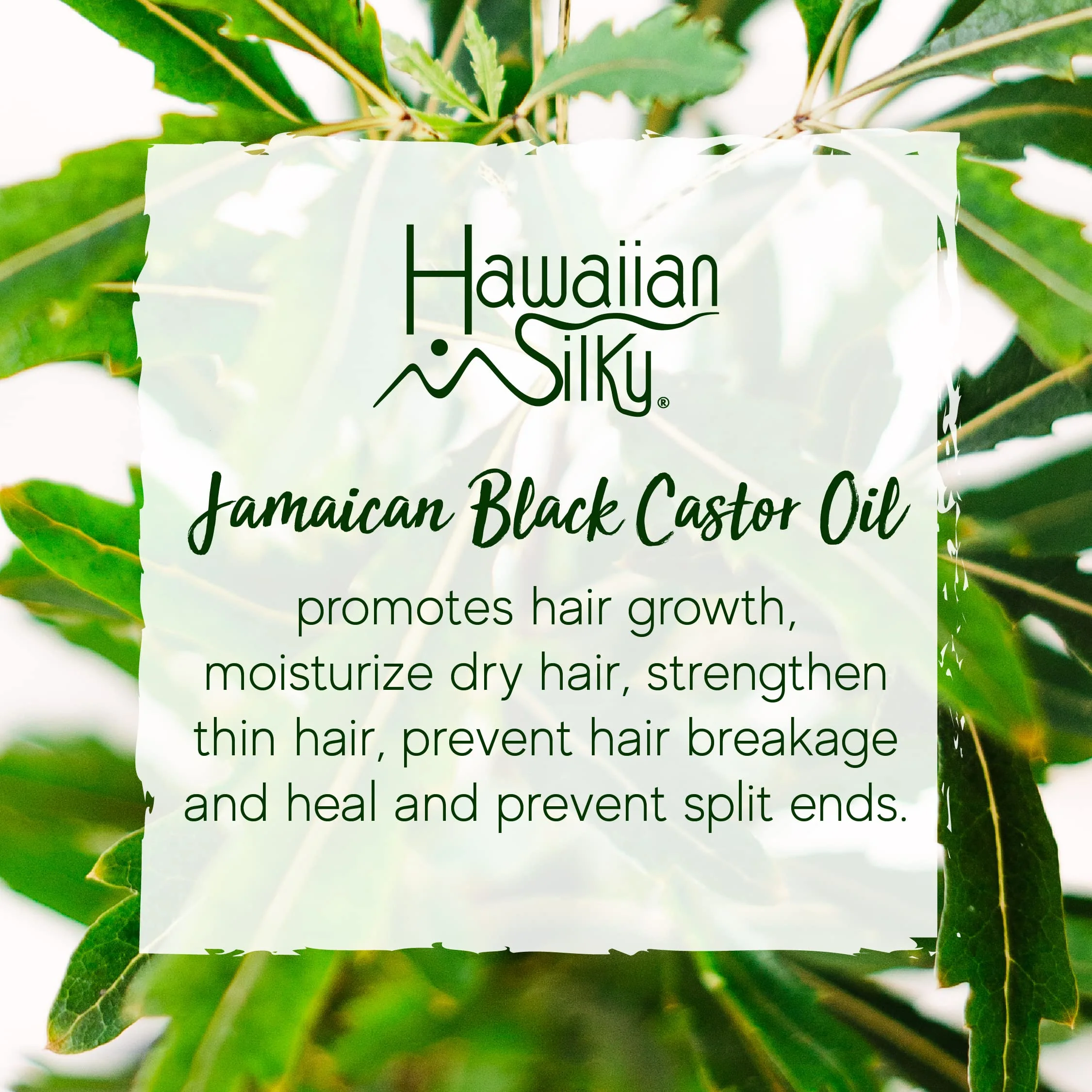 Hawaiian Silky Jamaican Black Castor Oil Collection Non Flaking Curling Gel - Image 5