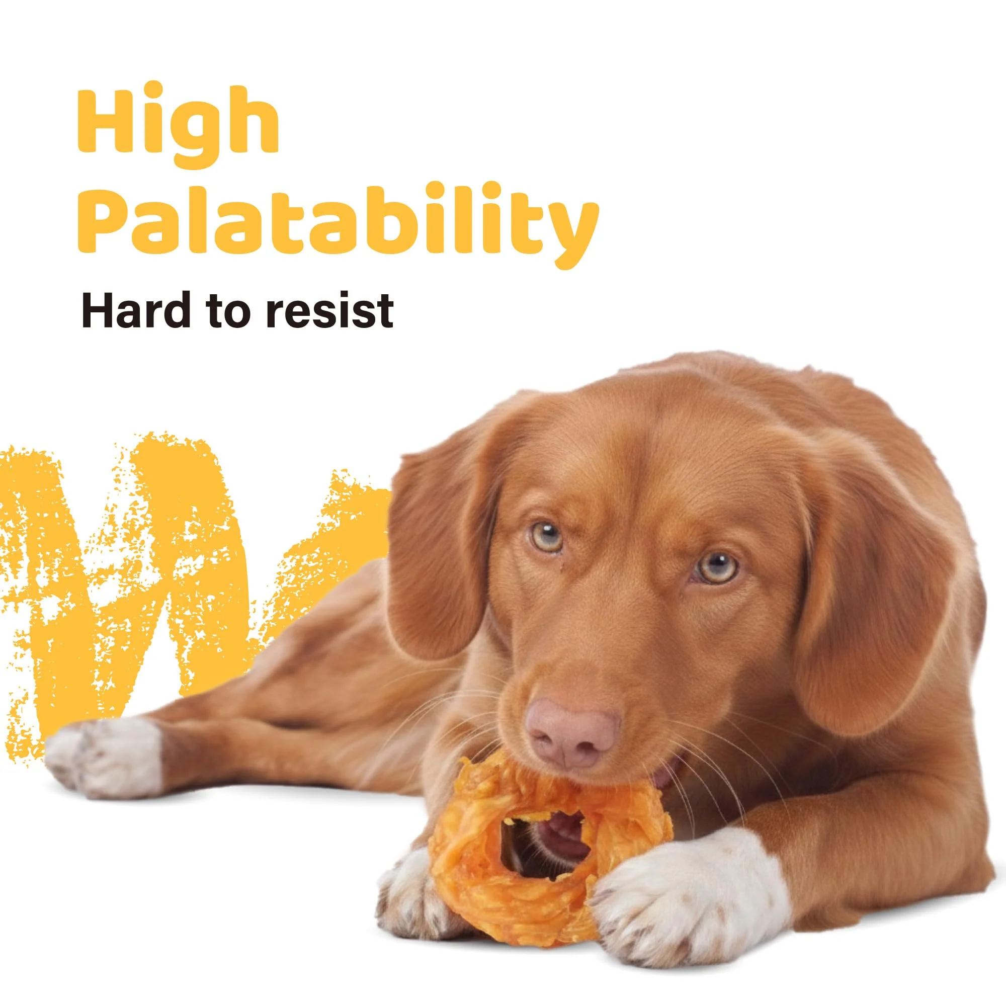 iPaw 10 Pcs Value Pack Turkey Tendons for Dogs, Single Protein, Hypoallergenic, All Natural Human Grade Puppy Chew, Rawhide Alternative Dog Treats, Ring (Small) - Image 4
