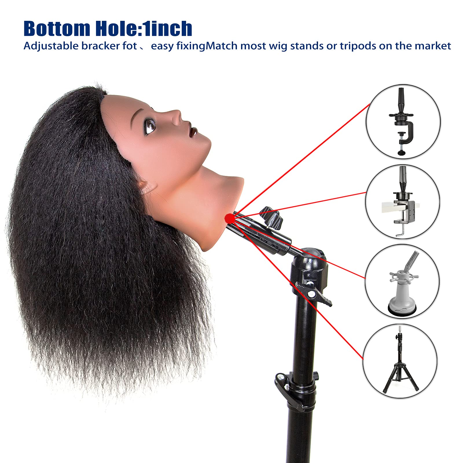 JMHAIR Mannequins Head 16" 100% Real Hair For Manual Braiding Styling Practice Hairdresser School Manikin Head Curling Dyeing Hairdresser Cosmetology Doll Head Training Head- Female Black - Image 5