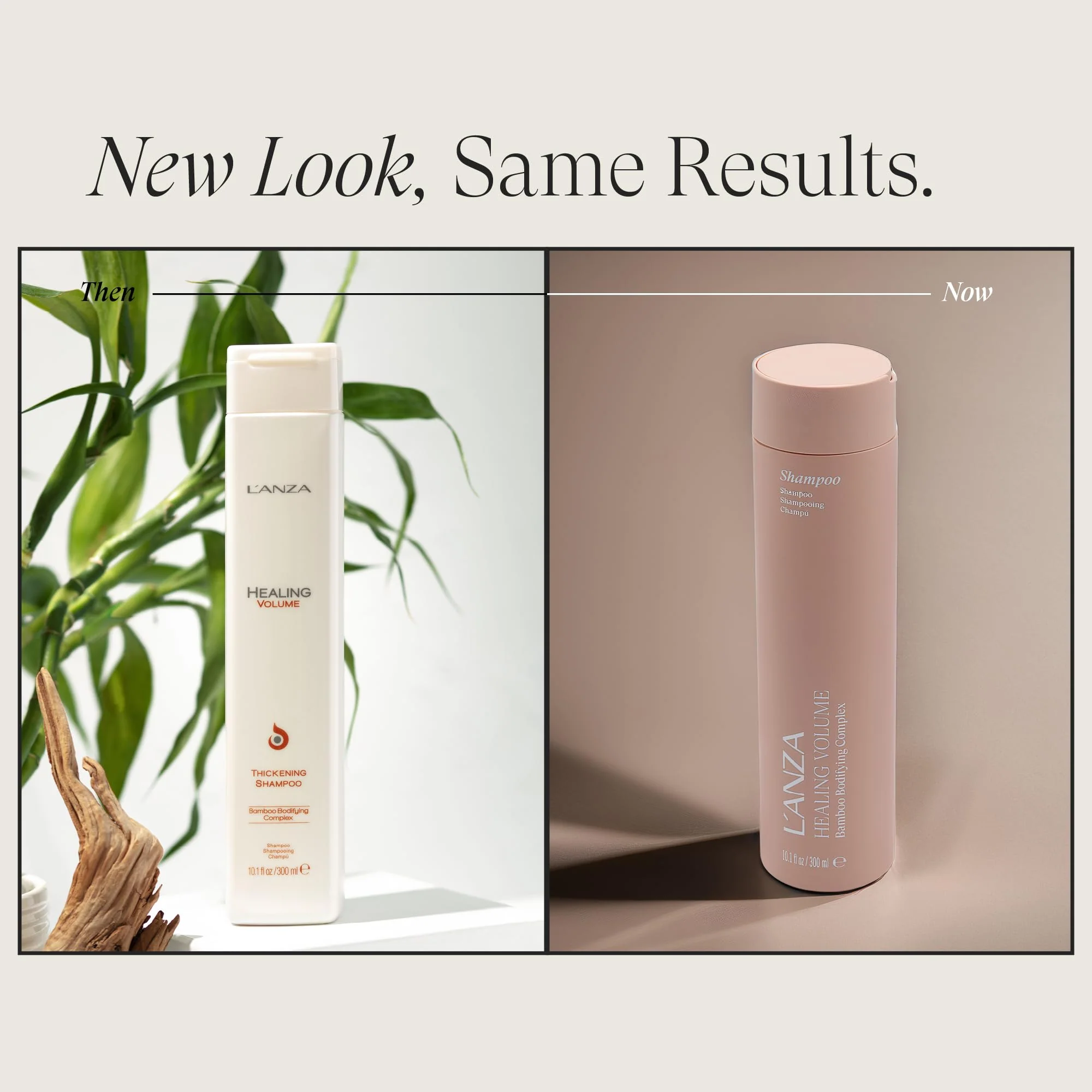 L'ANZA Healing Volume Thickening Shampoo, Boosts Shine, Volume, and Thickness of Fine Flat Hair, Hair Thickening Shampoo Rich With Bamboo and Keratin, Luxury Hair Care (10.1 Fl Oz) - Image 2