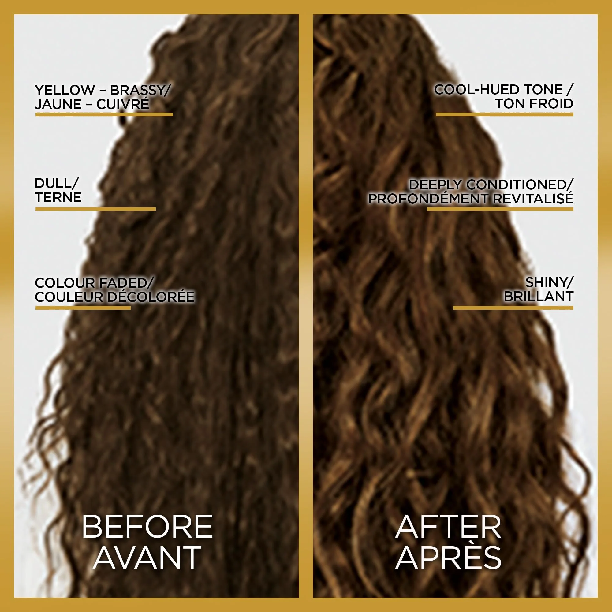 L'Oreal Paris Le Color One Step Toning Hair Gloss, Cool Brunette, 4 Ounce - Image 2