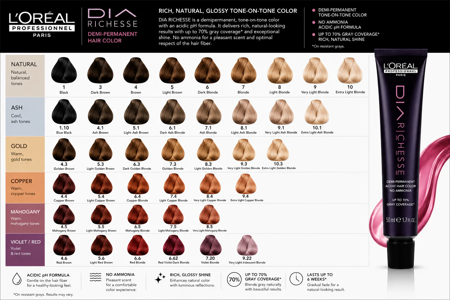 L'Oreal Professionnel DIA Richesse