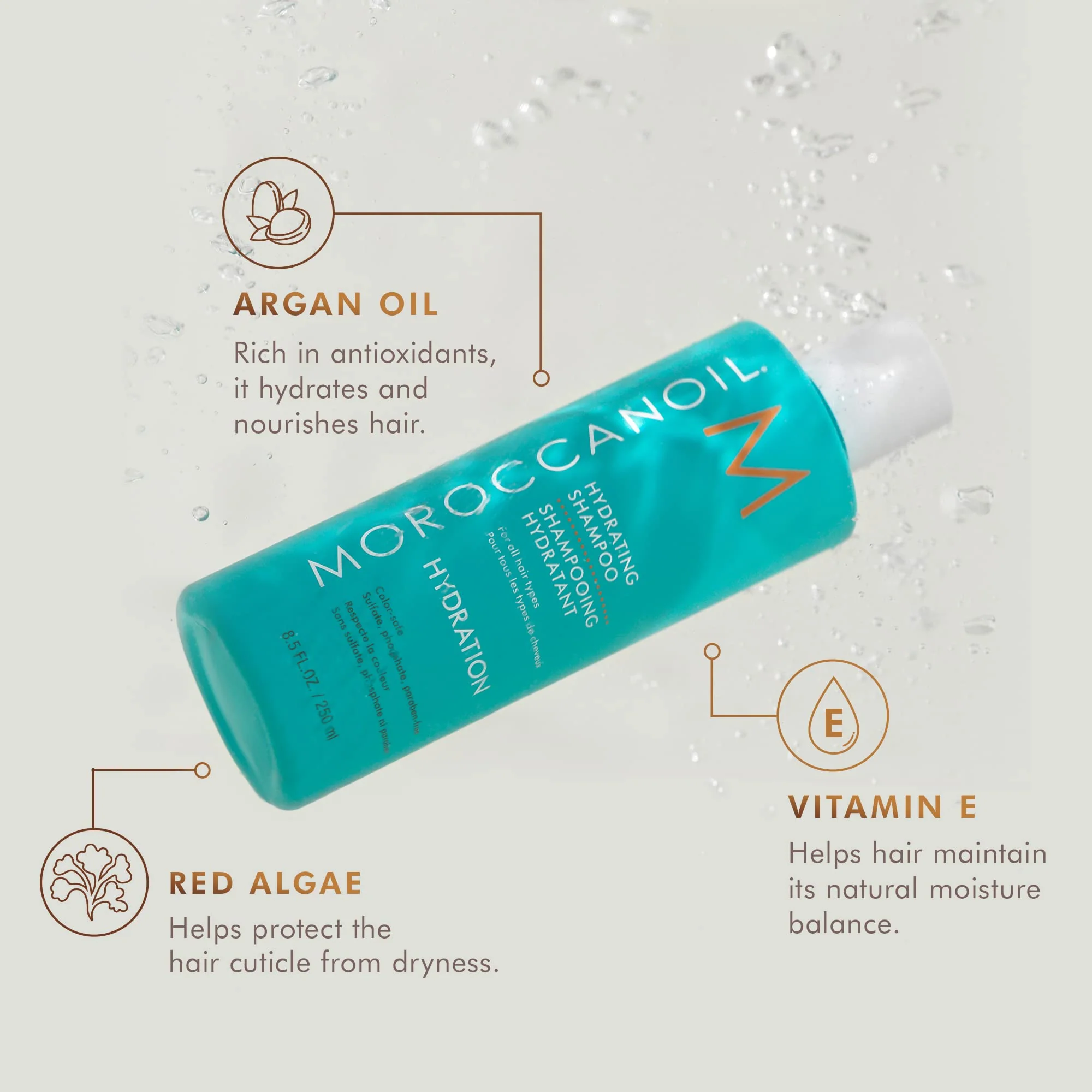 Moroccanoil Hydrating Shampoo and Conditioner Bundle, 8.5 Fl. Oz Set - Image 4