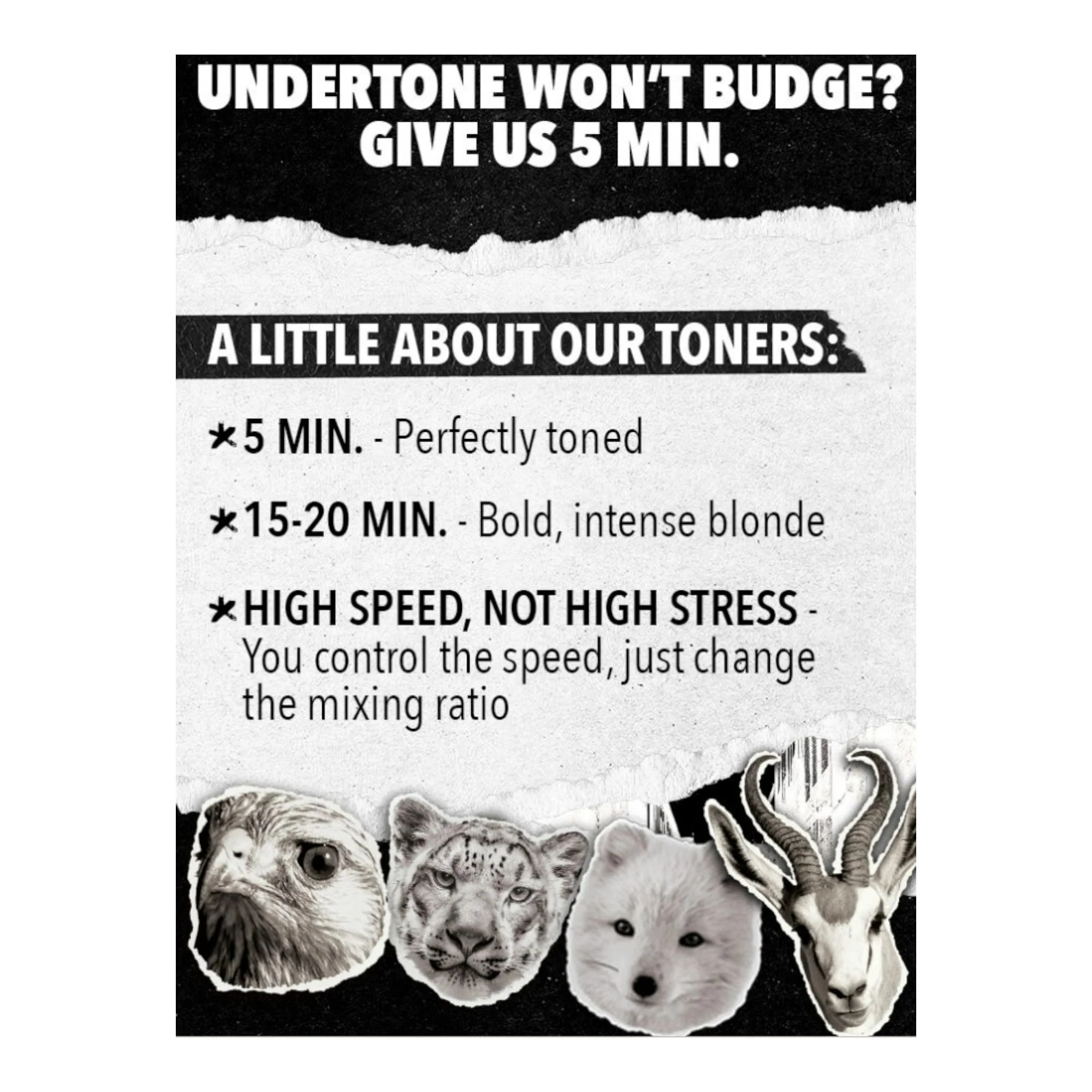 Pulp Riot Pulp Riot High Speed Toner Platinum Pearl 3 oz