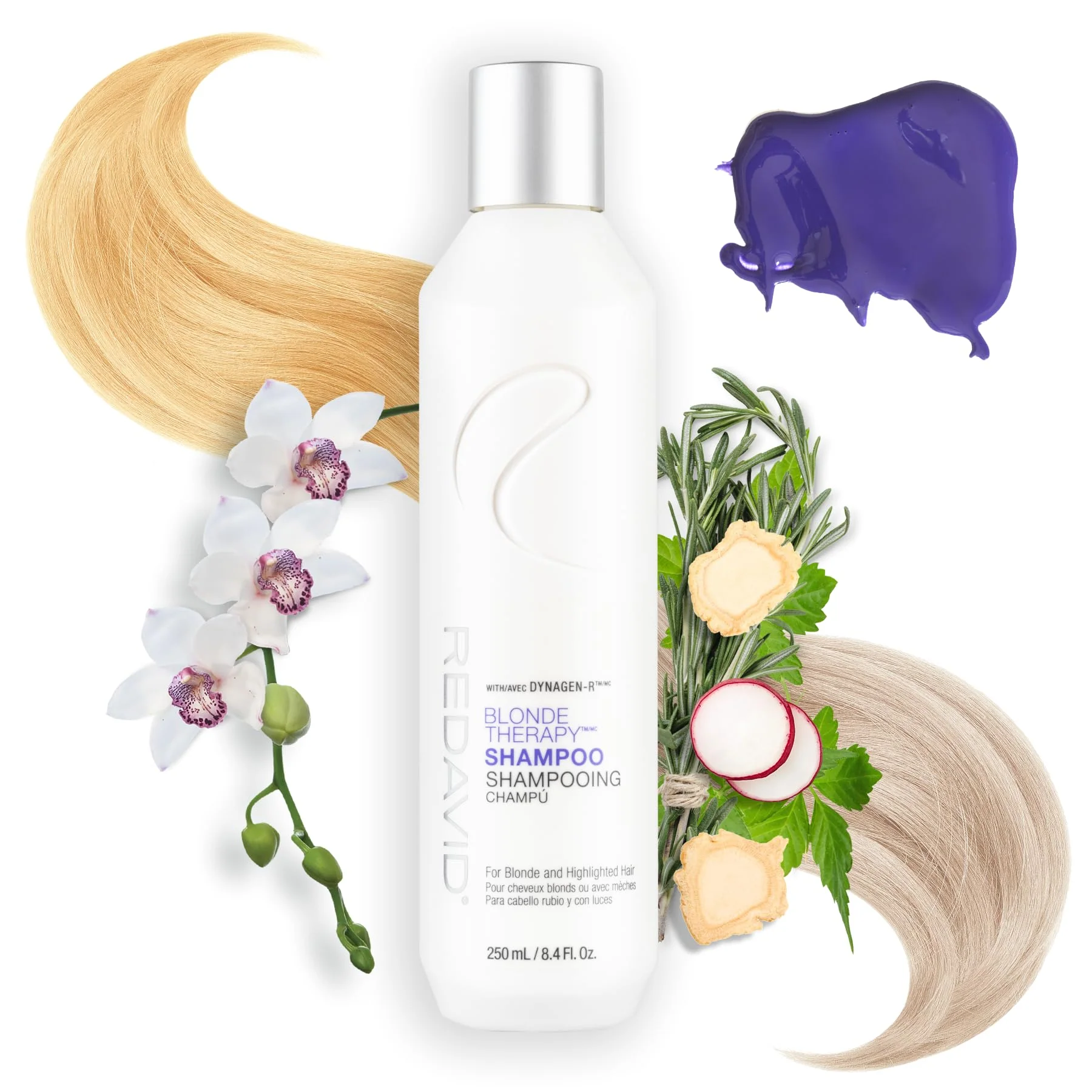 Redavid Blonde Therapy Daily Shampoo for Blonde and Highlighted Hair with Cymbidium Orchid and Hemp Seed Oil - Daily Toning, Clinical Repair, and Amplified Shine (250ml) - Image 2