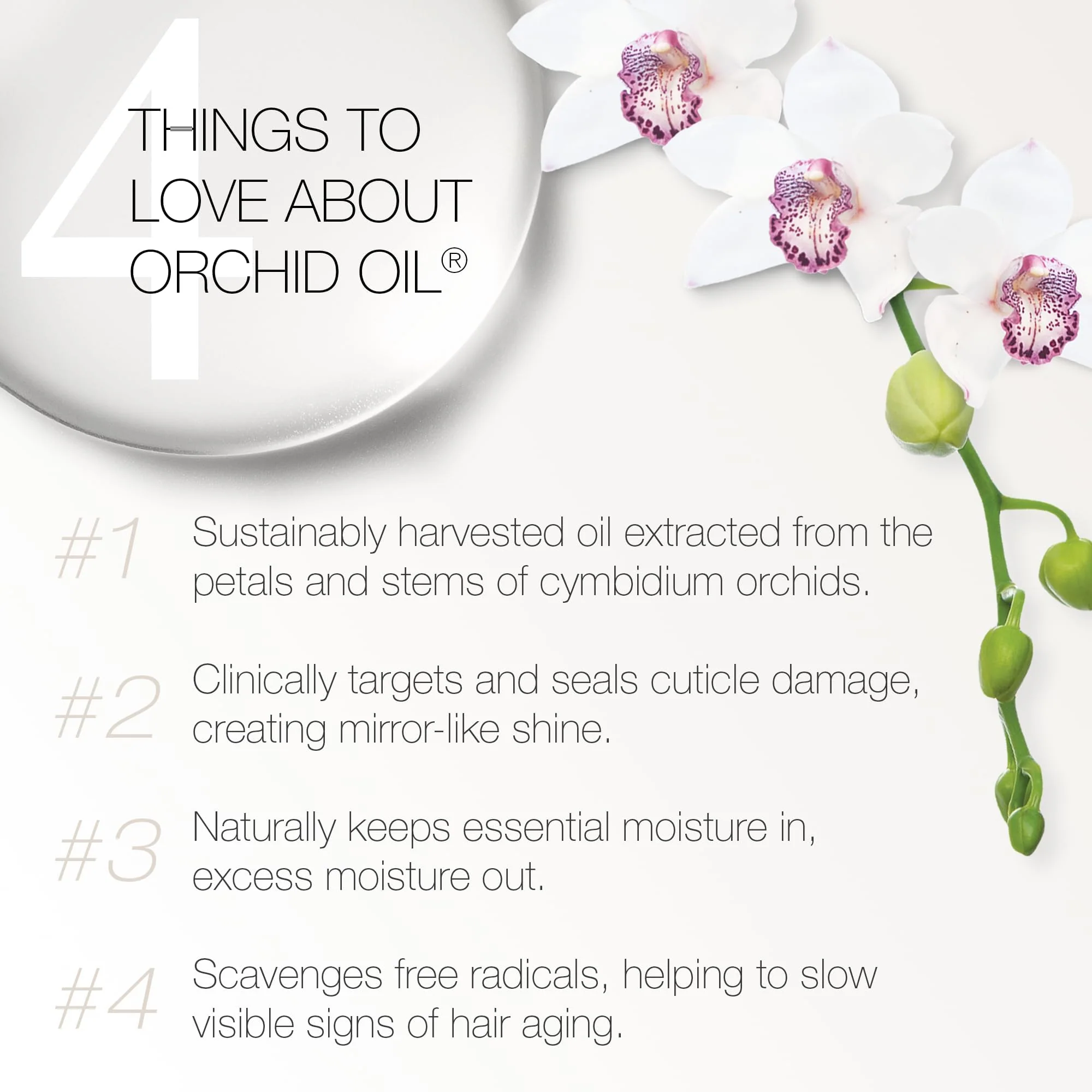 Redavid Orchid Oil Ultra Nourishing Shampoo with Shea Butter, Coconut Oil, Phyto Microproteins for Curly or Heavily Damaged Hair - Clinically Strengthens, Adds Protein & Hydrates Hair (1L) - Image 2