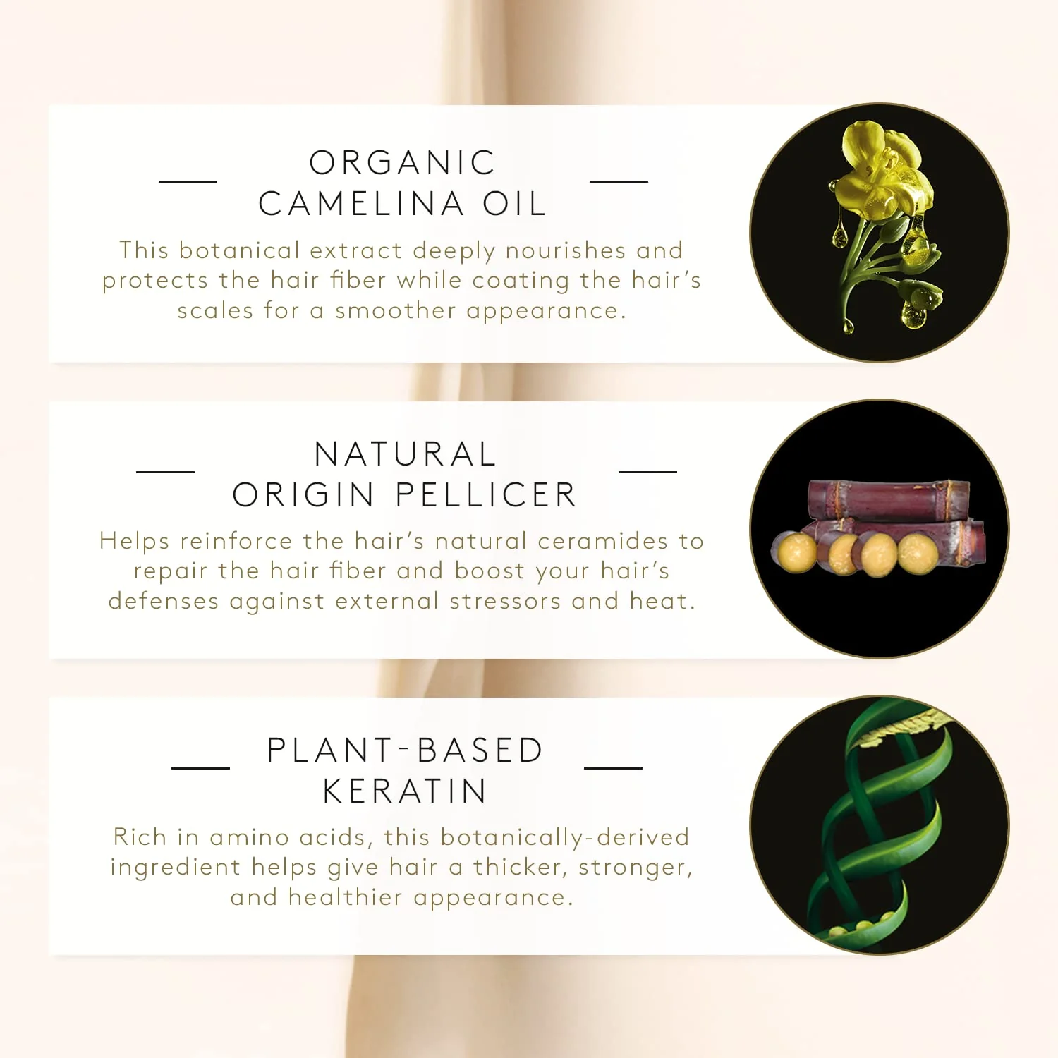 Rene Furterer Absolue Keratine Ultimate Repair Split End Serum - For Damaged, Over-Processed Hair - Repair & Restore, 1 fl. oz. - Image 3