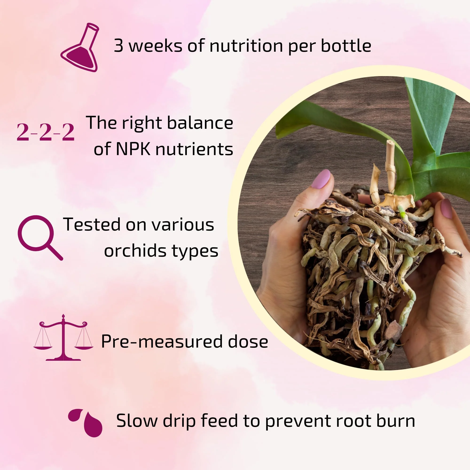 The Green Alcove Liquid Orchid Fertilizer Spikes | Ready-to-Use Orchid Food for Blooming, Fertilizer for Orchids (8 Drip Feeders) - Image 5