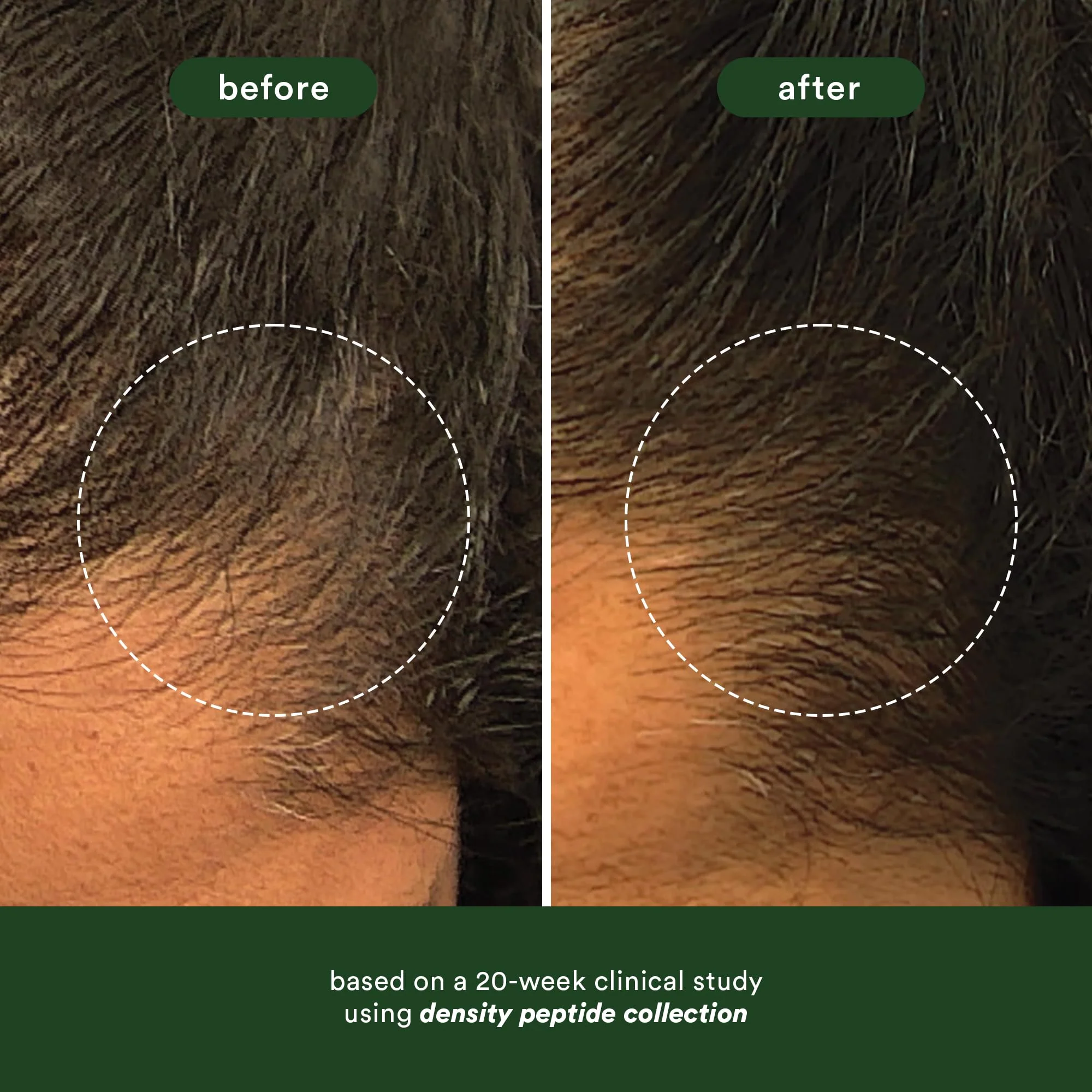 VERB Density Peptide Shampoo 12 fl oz - Visibly Thicken + Reduce Signs of Shedding- No Parabens or Harmful Sulfates - Image 2