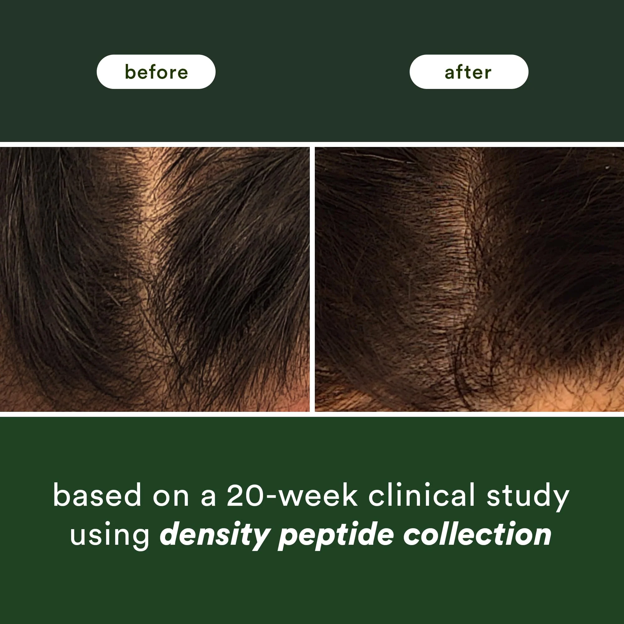 VERB Density Peptide Shampoo 12 fl oz - Visibly Thicken + Reduce Signs of Shedding- No Parabens or Harmful Sulfates - Image 3