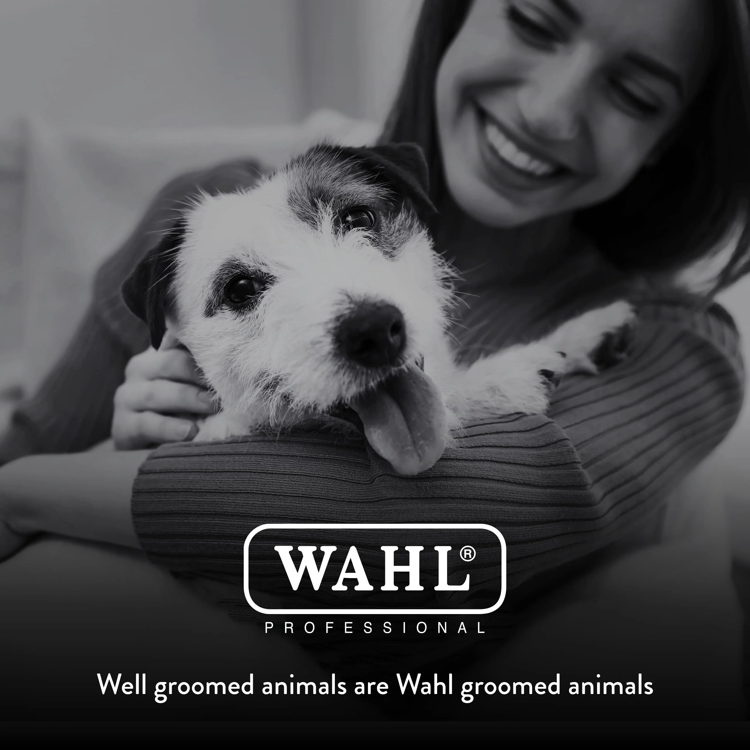 Wahl Professional Animal Arco Equine Horse Cordless Clipper Kit, Champagne (8786-800) - Image 7